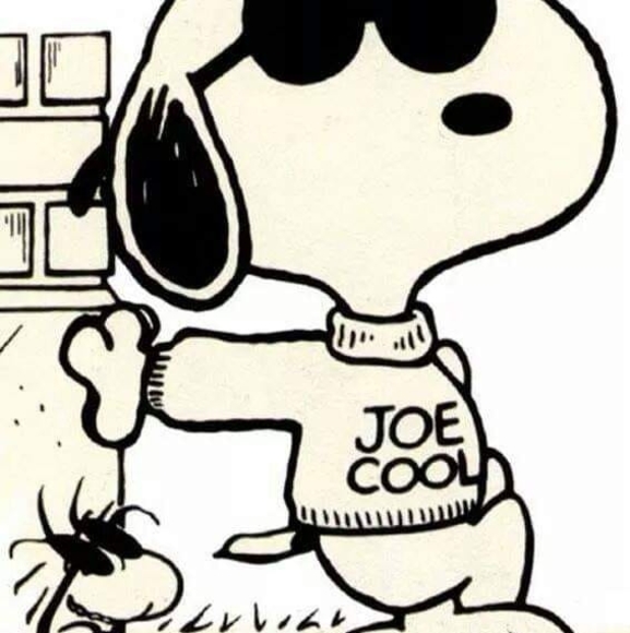 Meet your Posher, Steve - Picture 1 of 1